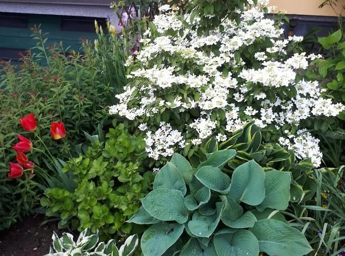 Haus Kloibhofer Gæstehus