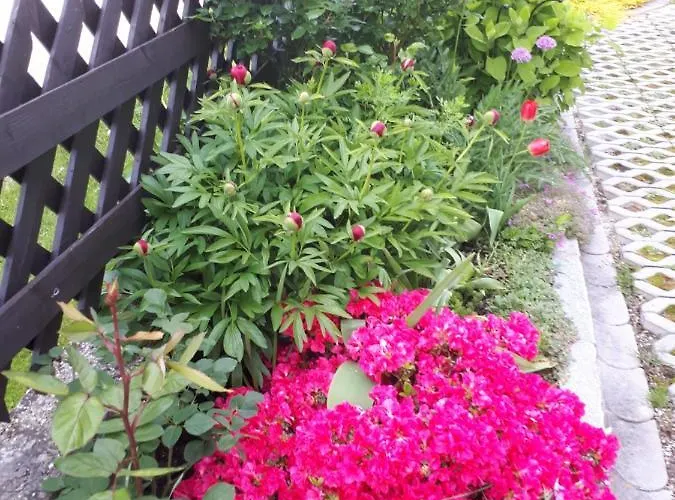 Haus Kloibhofer 3* Grein