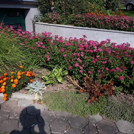 Haus Kloibhofer بيت ضيافة غرين