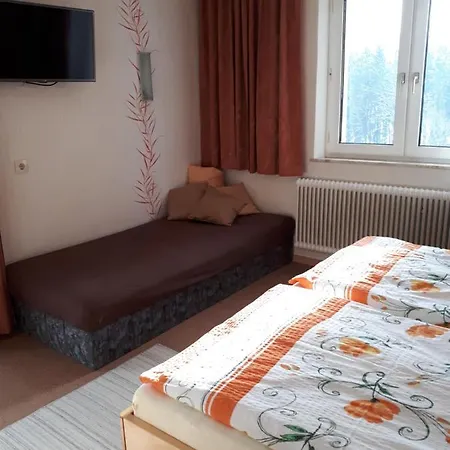 Haus Kloibhofer 3* غرين