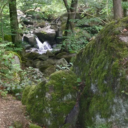 Haus Kloibhofer 3* غرين