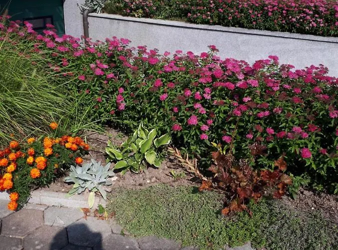 Haus Kloibhofer Affittacamere Grein