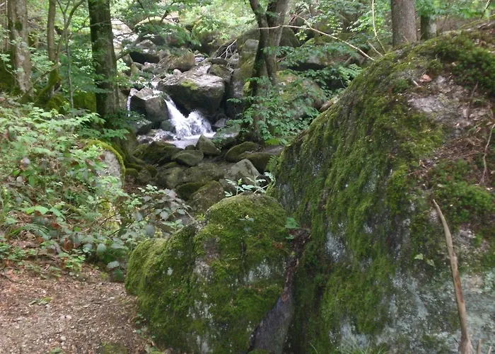 Haus Kloibhofer 3* Grein